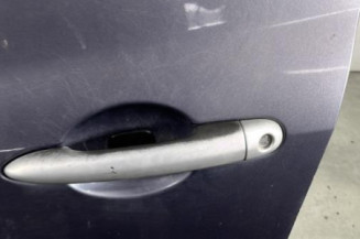 Porte avant gauche RENAULT CLIO 3