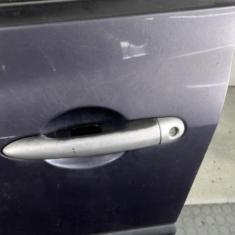 Porte avant gauche RENAULT CLIO 3 Photo n°2