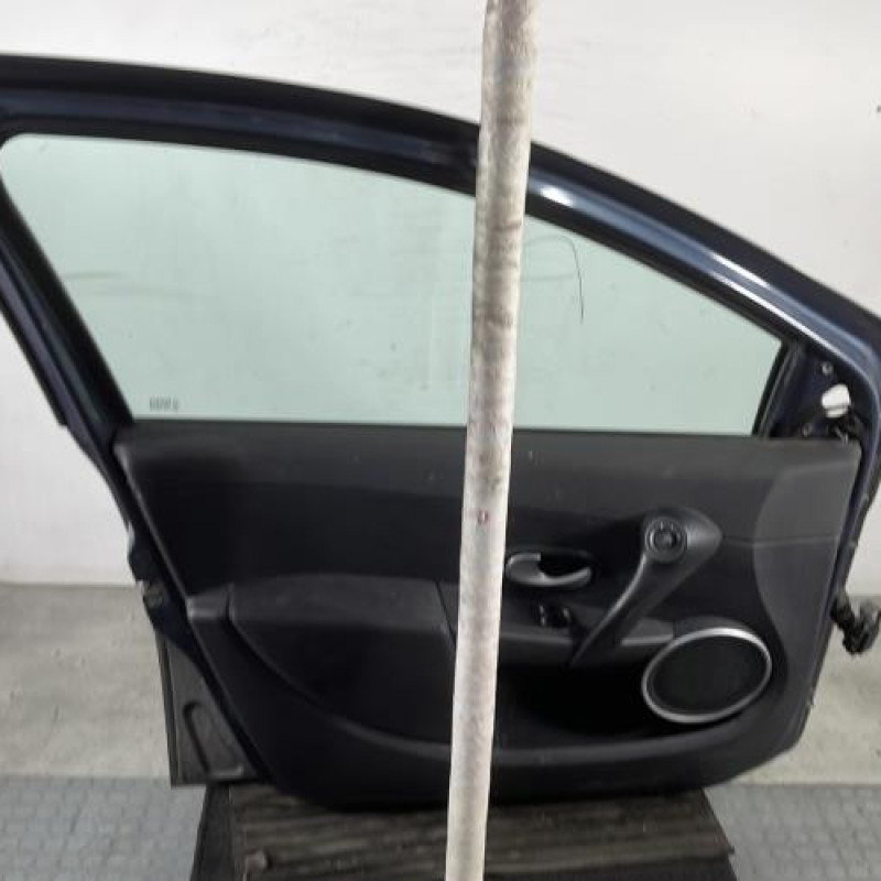 Porte avant gauche RENAULT CLIO 3 Photo n°6