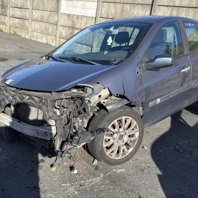 Porte avant gauche RENAULT CLIO 3 Photo n°7