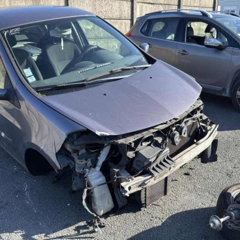 Porte avant gauche RENAULT CLIO 3 Photo n°8