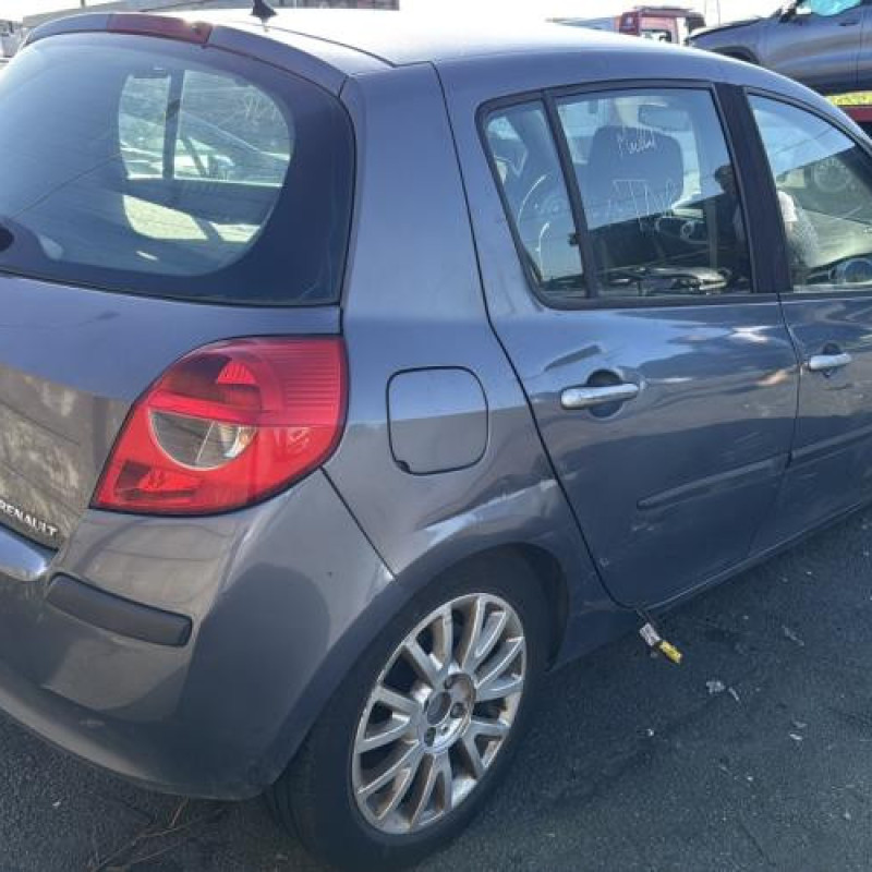 Porte avant gauche RENAULT CLIO 3 Photo n°9