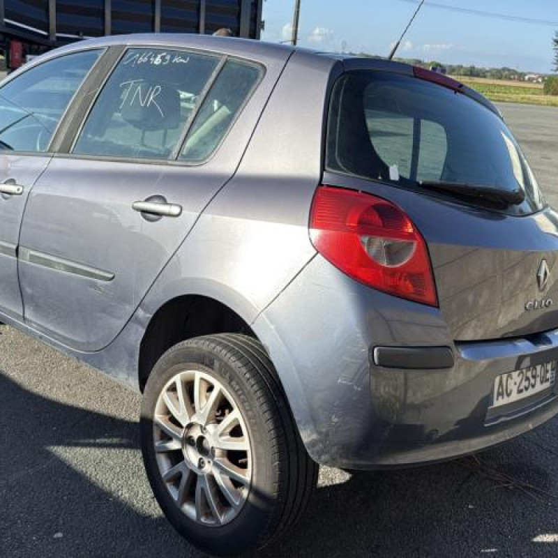 Porte avant gauche RENAULT CLIO 3 Photo n°10