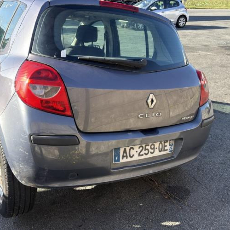 Porte avant gauche RENAULT CLIO 3 Photo n°11