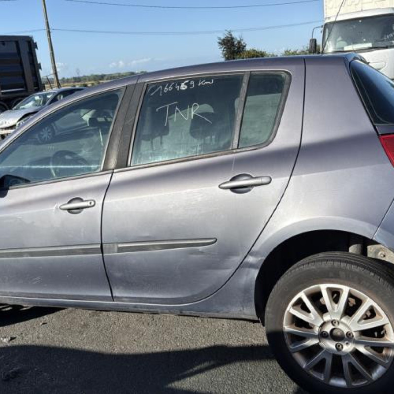 Porte avant gauche RENAULT CLIO 3 Photo n°12