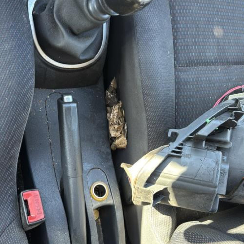 Porte avant gauche RENAULT CLIO 3 Photo n°18
