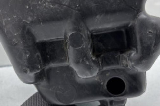 Vase de lave glace CITROEN SAXO