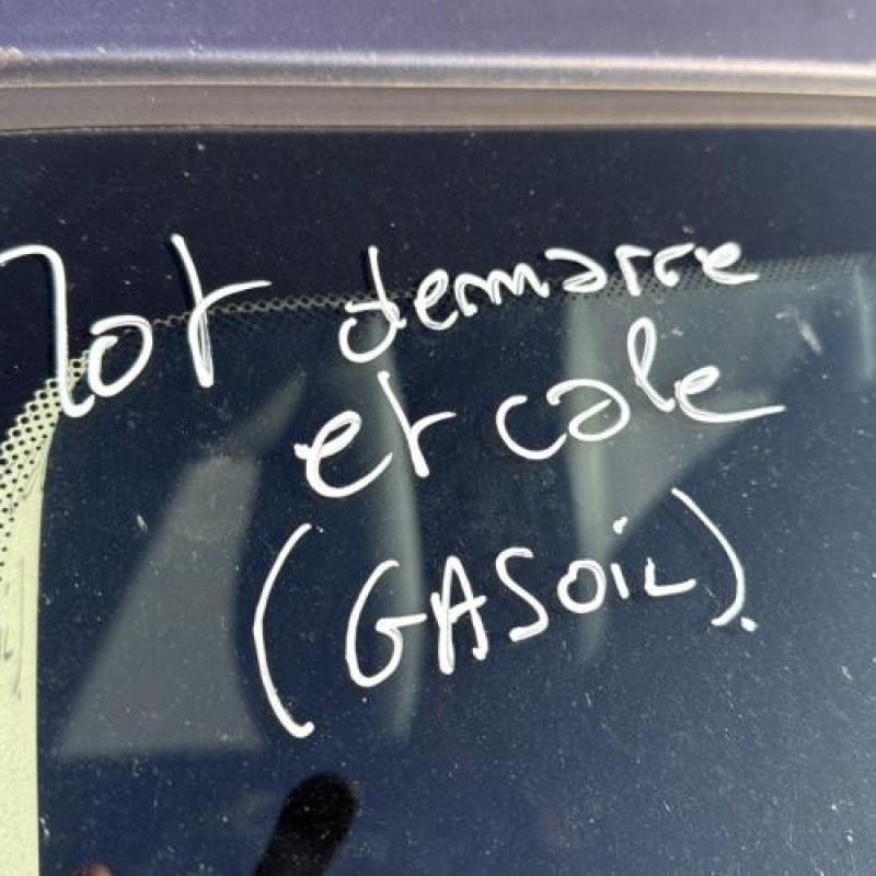 Custode arriere droit (porte) RENAULT CLIO 3 Photo n°20