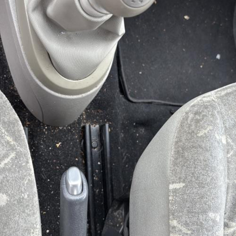 Porte avant gauche RENAULT TWINGO 2 Photo n°20