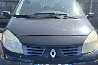 Aile avant droit RENAULT SCENIC 2