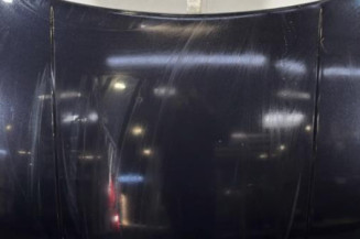 Capot VOLKSWAGEN GOLF 4 Photo n°1