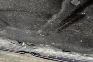 Capot VOLKSWAGEN GOLF 4