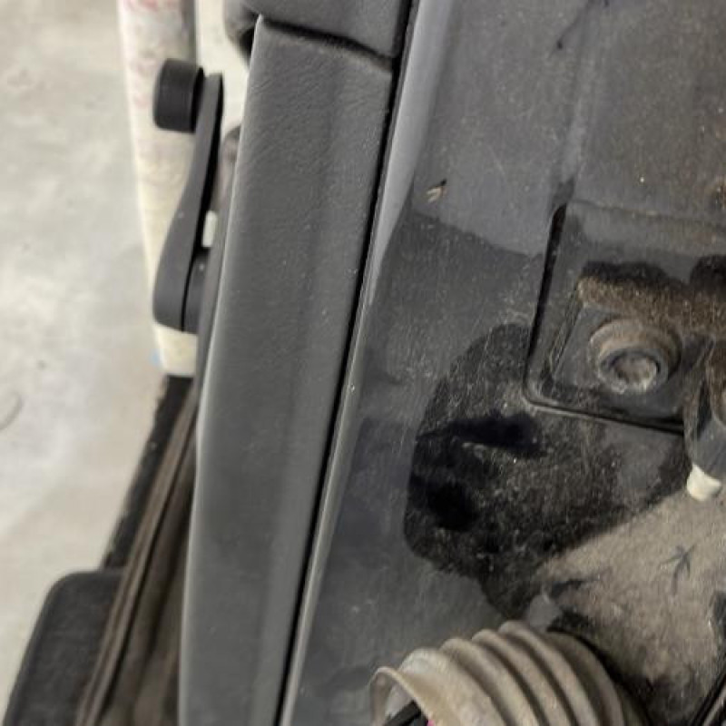 Porte arriere gauche VOLKSWAGEN GOLF 4 Photo n°4