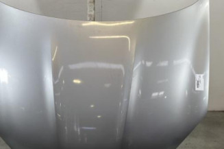 Capot NISSAN QASHQAI 1 Photo n°1