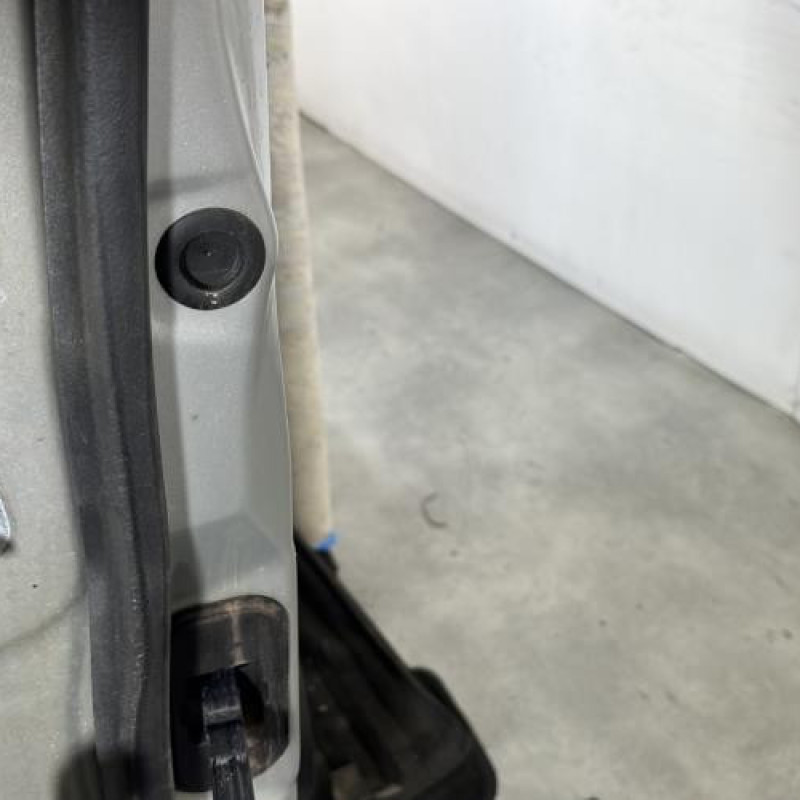 Porte avant droit NISSAN QASHQAI 1 Photo n°6