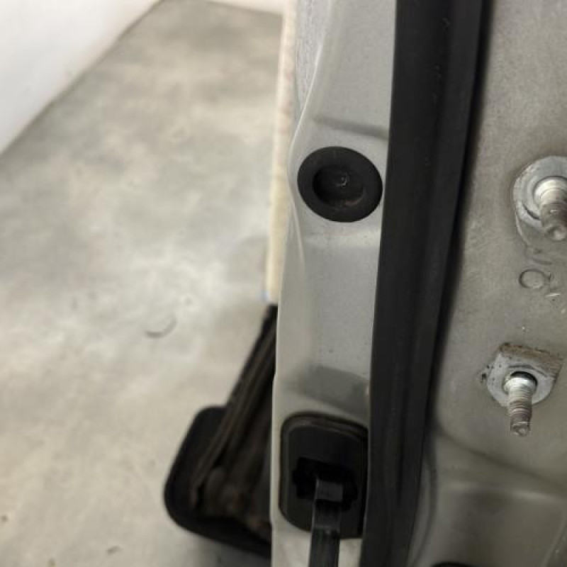 Porte avant gauche NISSAN QASHQAI 1 Photo n°4
