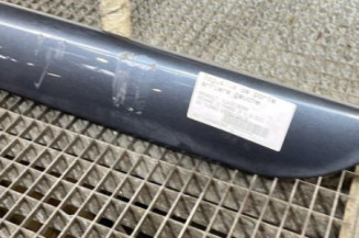 Baguette de porte arriere gauche  RENAULT MEGANE 3