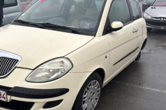 Calandre LANCIA YPSILON 4