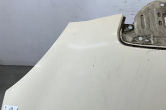Capot LANCIA YPSILON 4