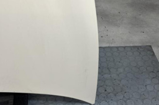 Capot LANCIA YPSILON 4
