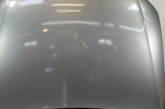 Capot VOLKSWAGEN PASSAT 5 Photo n°1