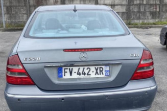 Porte avant gauche MERCEDES CLASSE E 211