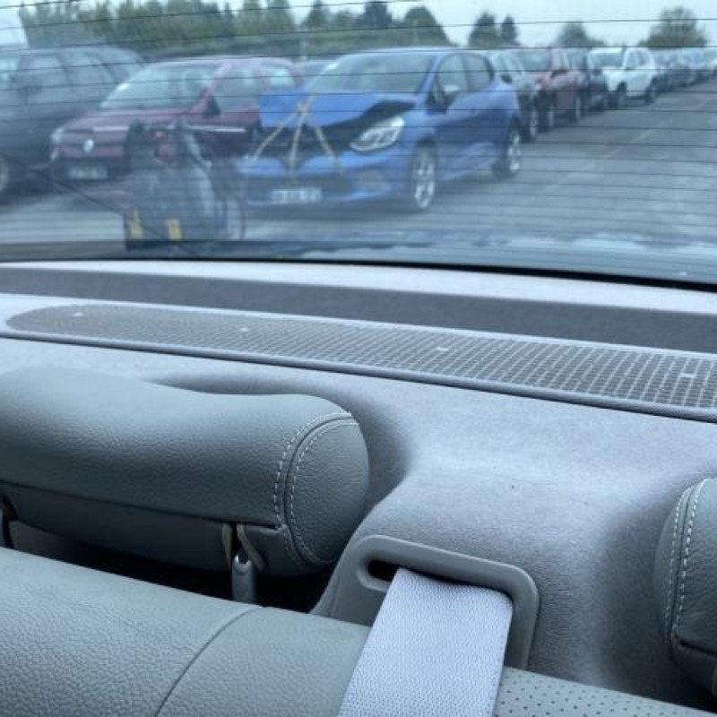 Porte avant gauche MERCEDES CLASSE E 211 Photo n°19