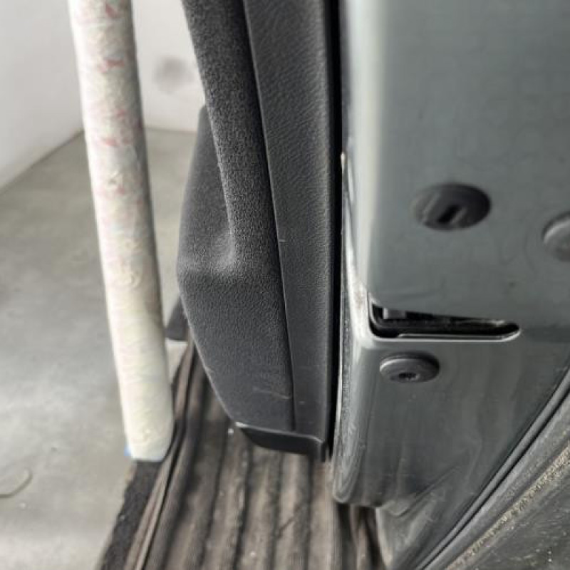 Porte arriere droit VOLKSWAGEN PASSAT 5 Photo n°3