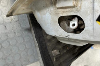 Porte arriere droit RENAULT SCENIC 1