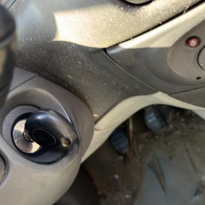 Porte arriere droit RENAULT SCENIC 1 Photo n°17