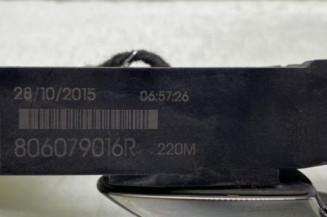 Poignee porte arriere gauche RENAULT TALISMAN