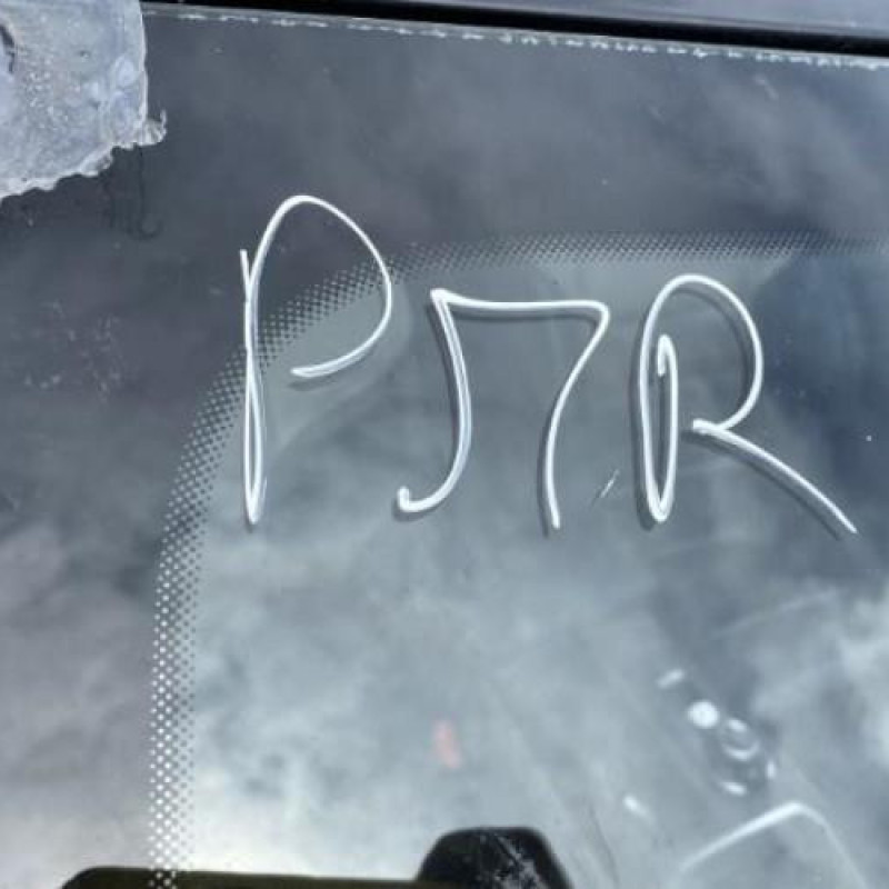 Poignee porte arriere gauche RENAULT TALISMAN Photo n°19