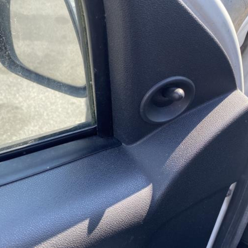 Poignee porte avant gauche DACIA SANDERO 1 Photo n°13