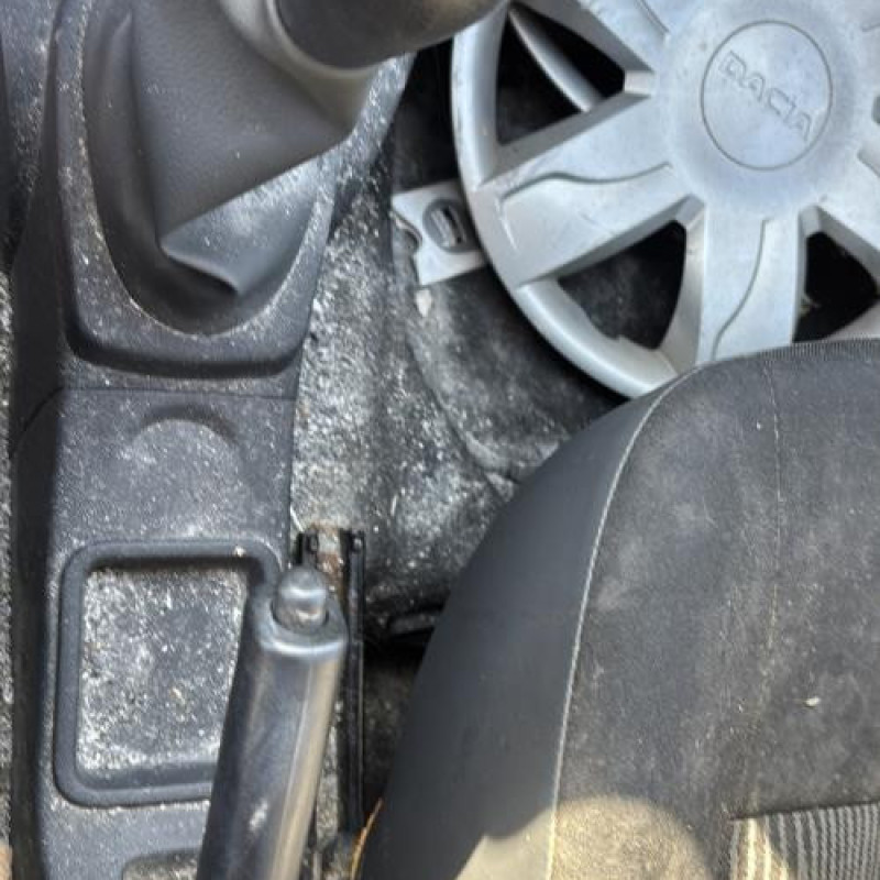 Poignee porte avant gauche DACIA SANDERO 1 Photo n°19