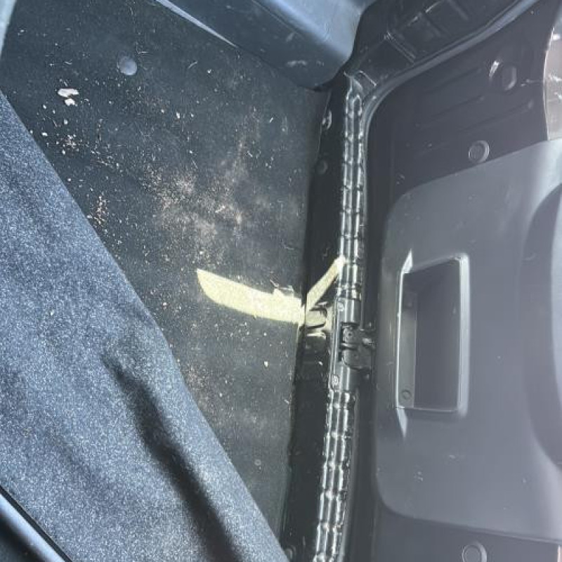 Poignee porte avant gauche DACIA DUSTER 1 Photo n°15