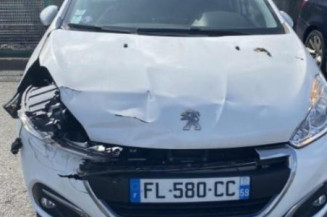 Aile avant gauche PEUGEOT 208 1