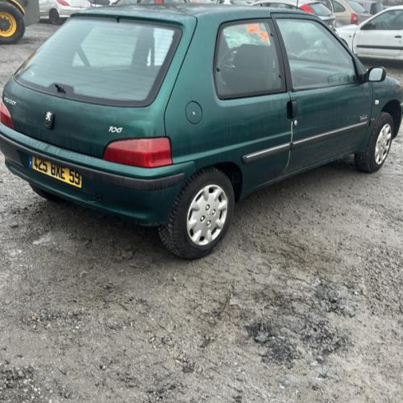 Porte avant droit PEUGEOT 106 Photo n°9