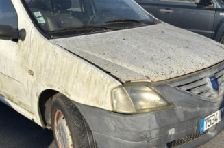 Malle/Hayon arriere DACIA LOGAN 1