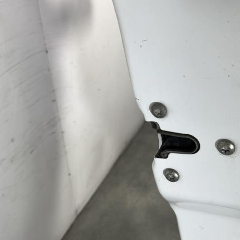 Porte avant droit RENAULT TRAFIC 2 Photo n°3