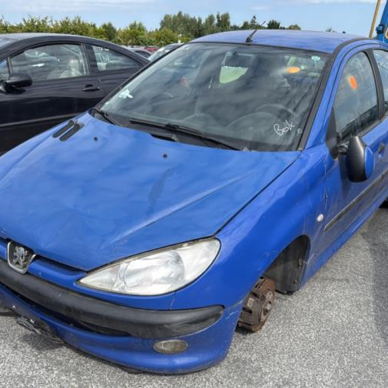 Porte arriere droit PEUGEOT 206 Photo n°7