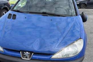 Porte arriere droit PEUGEOT 206