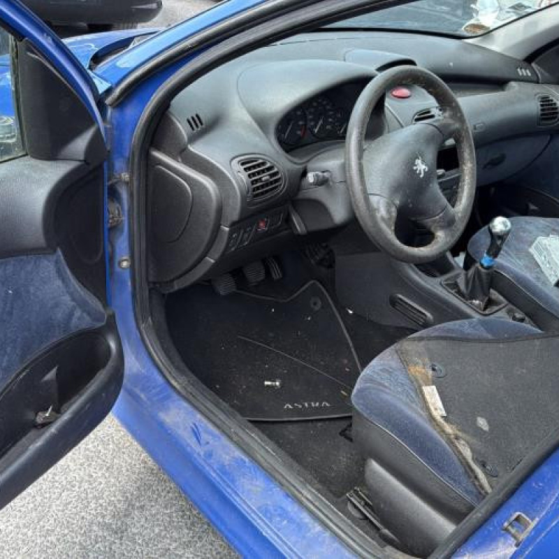 Porte arriere droit PEUGEOT 206 Photo n°16