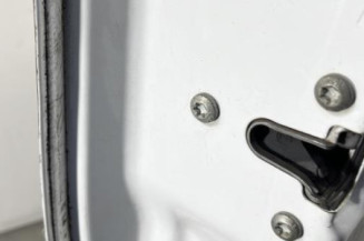 Porte avant gauche RENAULT TRAFIC 2