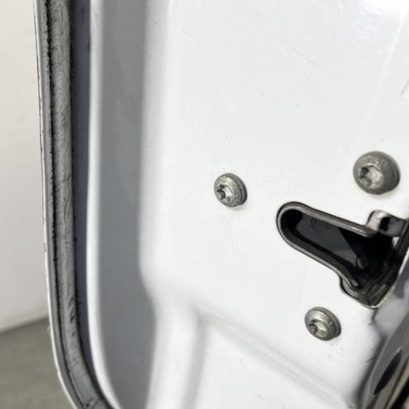 Porte avant gauche RENAULT TRAFIC 2 Photo n°4