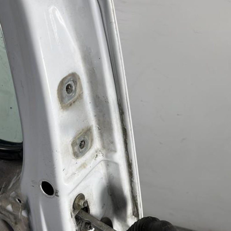 Porte avant gauche RENAULT TRAFIC 2 Photo n°5