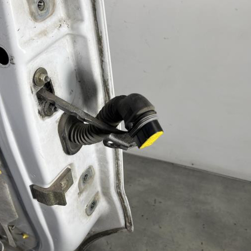 Porte avant gauche RENAULT TRAFIC 2 Photo n°6
