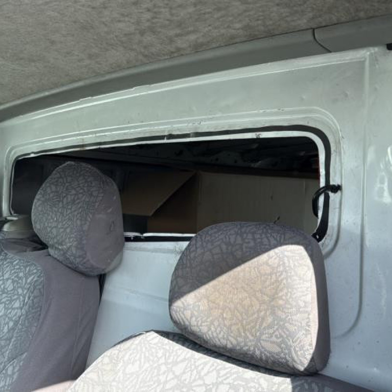 Porte avant gauche RENAULT TRAFIC 2 Photo n°17