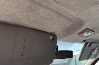 Porte avant gauche RENAULT TRAFIC 2