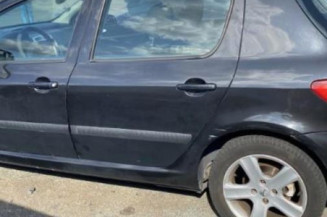 Boitier BSI PEUGEOT 307