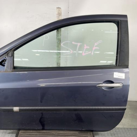 Porte avant gauche RENAULT CLIO 3 Photo n°1